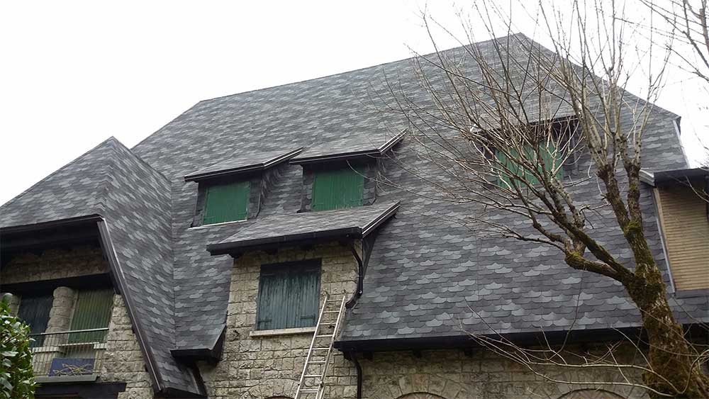 Premium Liberty (5).jpg